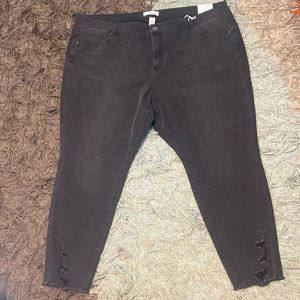 NWT LANE BYRANT ULTIMATE STRETCH ACIID COLOR BLACK JEANS